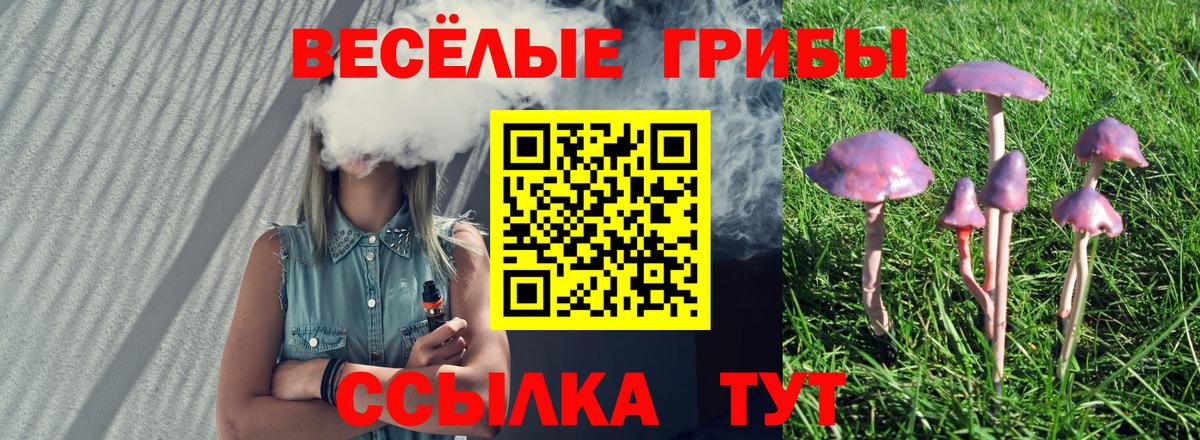 Кокаин  A-PVP СК   Курчатов  Мефедрон   Меф  LSD-25  Марихуана  Вход с VPN  МАРИХУАНА  Гашиш 