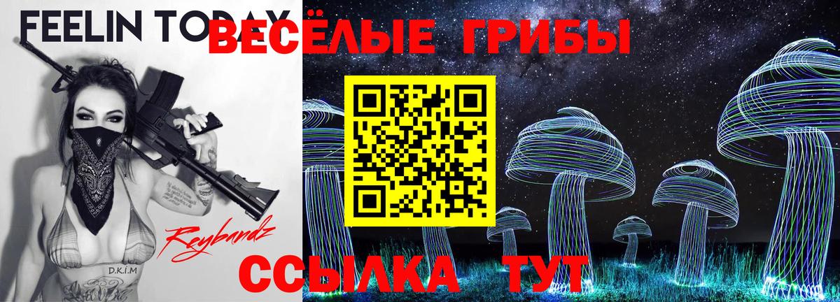 Псилоцибиновые грибы GOLDEN TEACHER  Вход с VPN  Курчатов 